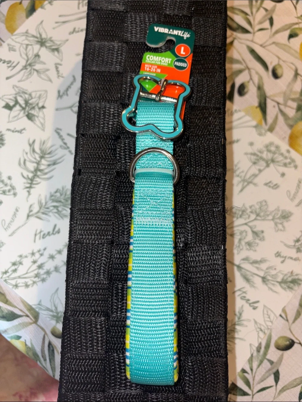 Vibrant Teal Padded Dog Collar with Bone-Shaped Buckle sz L